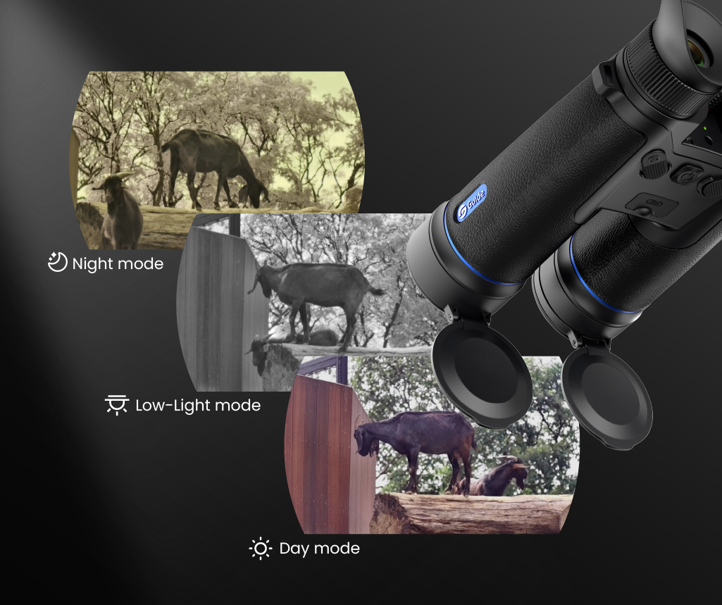 1. Nighttime Clarity All-Day Observation.jpg