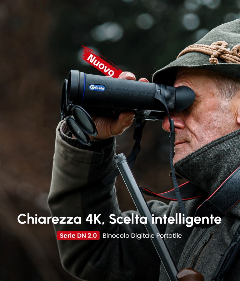 DN2 IT-768 900@2x-100.jpg