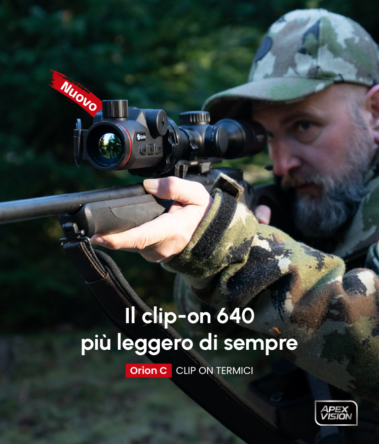 小语种_意大利官网-768 900.jpg