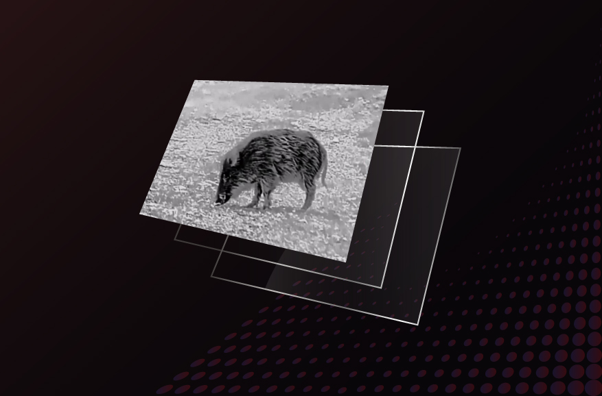 Display AMOLED Full HD