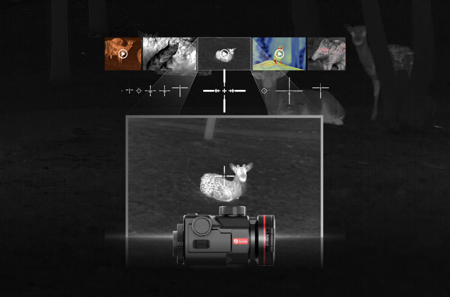 Reticolo virtuale <br> Visualizzazione dell'album locale