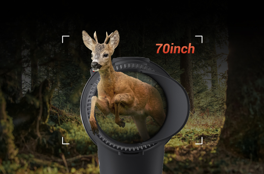 Display di dimensioni eccezionali<br>Esperienze visive ottimali