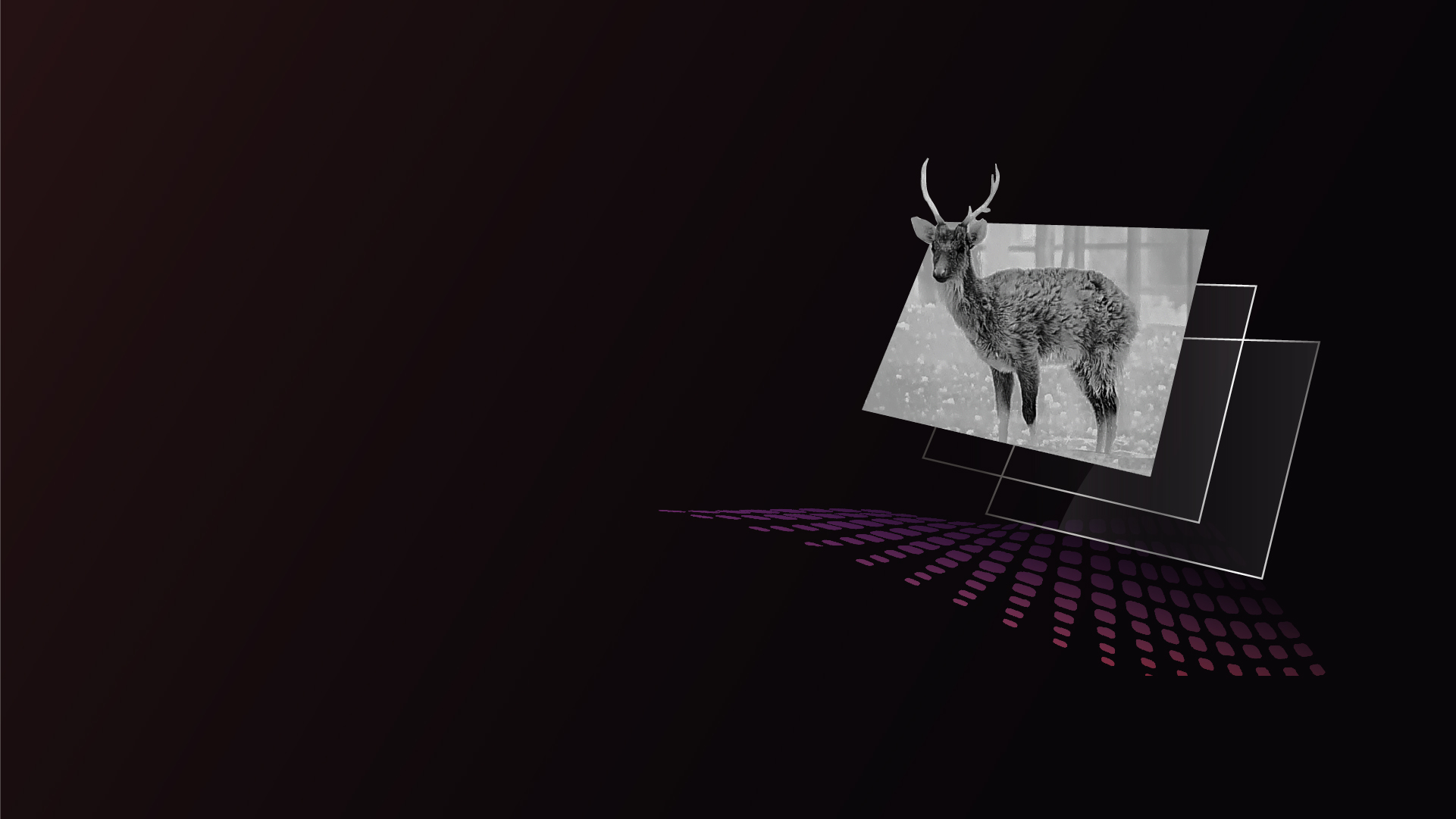 Display AMOLED da 1920x1080