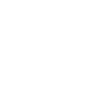 Anello di zoom