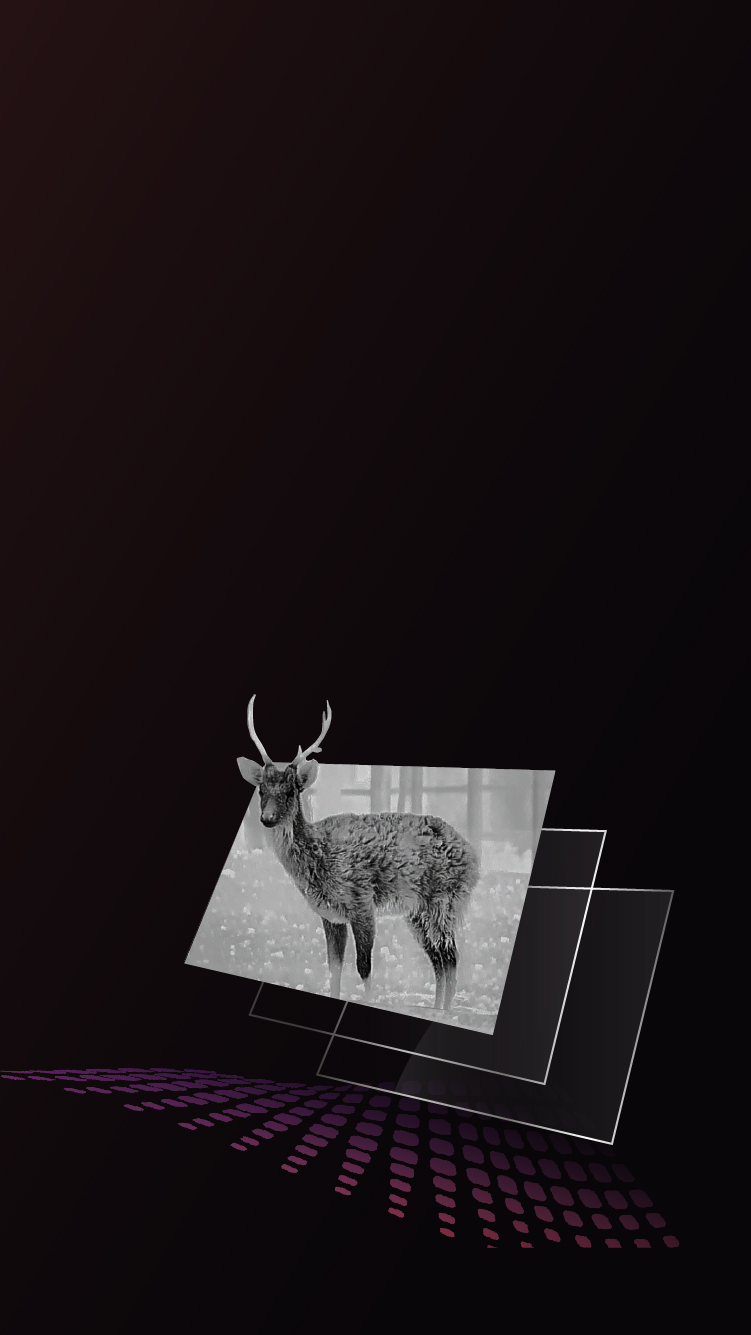Display AMOLED da 1920x1080