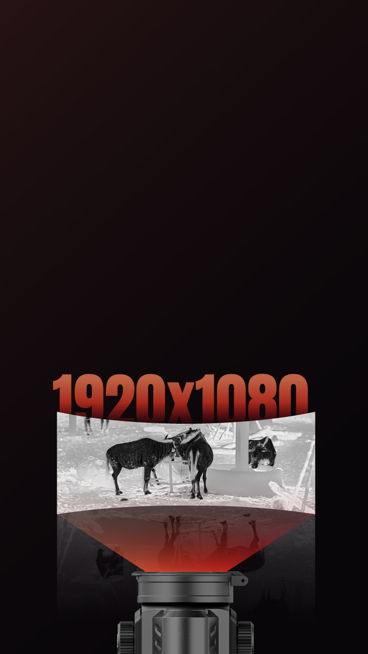 Display AMOLED Full HD 1920x1080