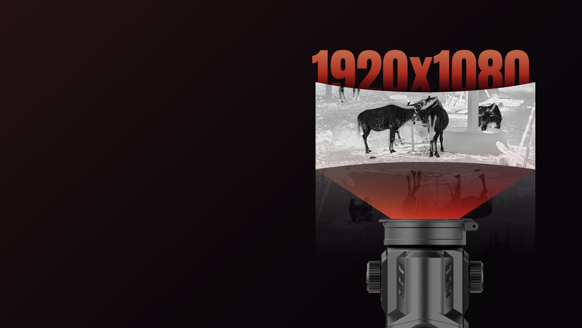 Display AMOLED Full HD 1920x1080